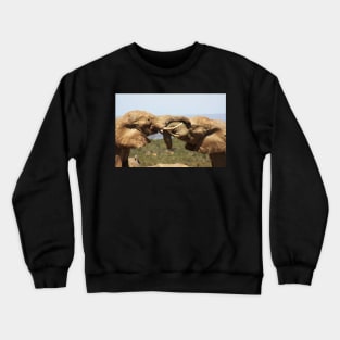 African Wildlife Photography Elephant Tussle Crewneck Sweatshirt